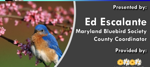 Jan282020 mctgc meeting topic gardening for bluebirds