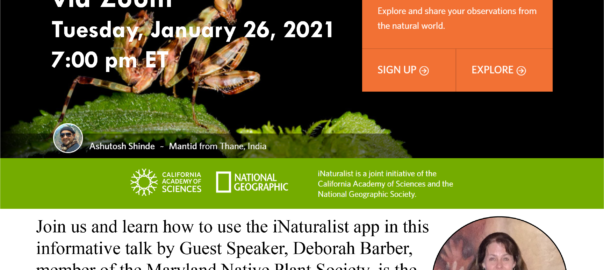 Tue Jan 26 2021 iNaturalist Talk