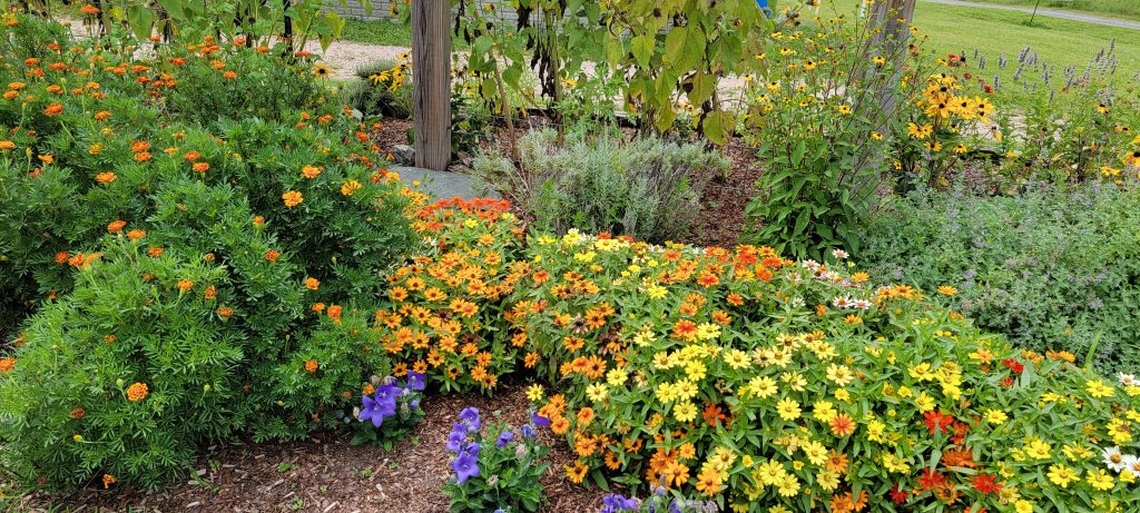 Lewis Ginter Garden, Richmond, VA